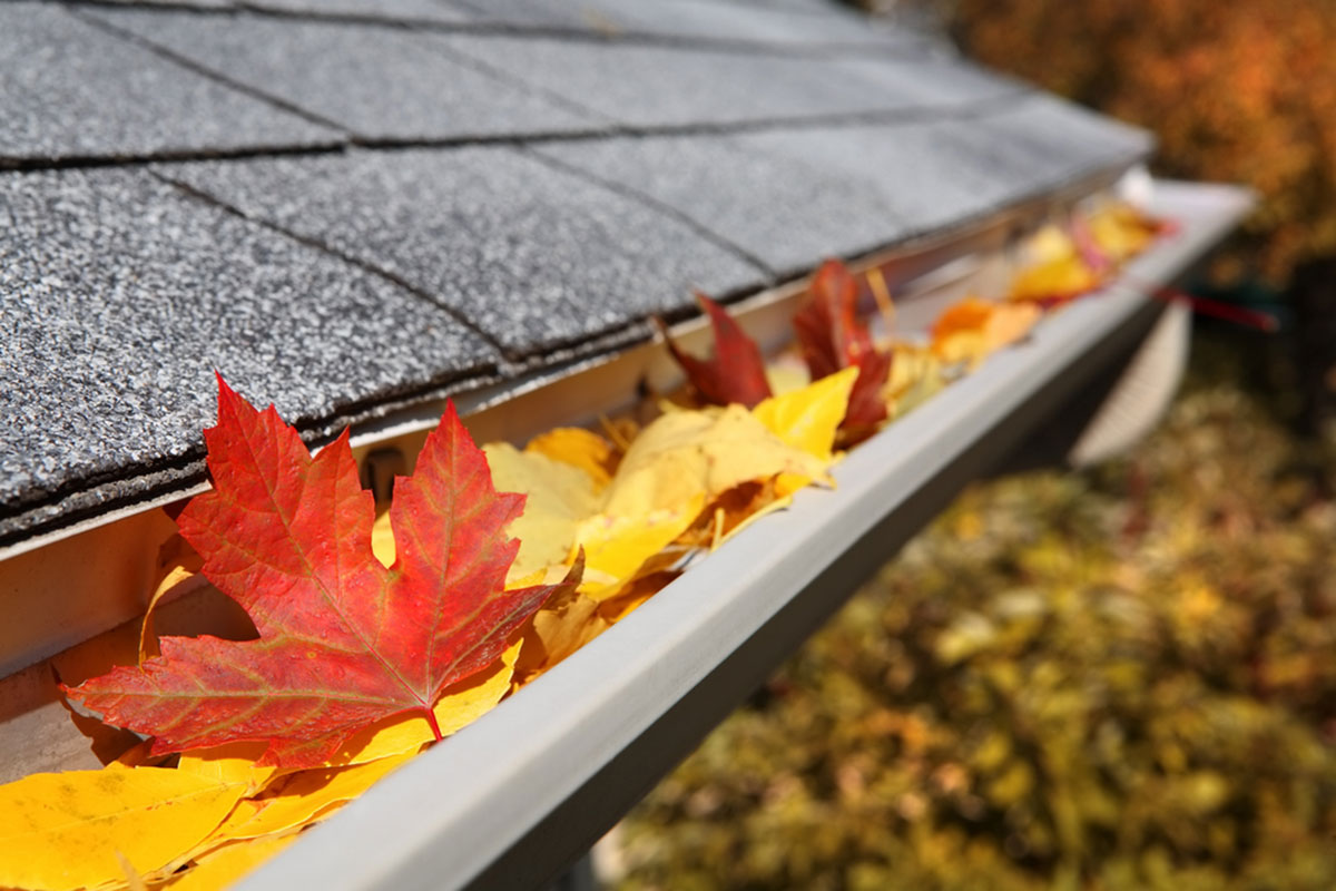 Gutter cleaning